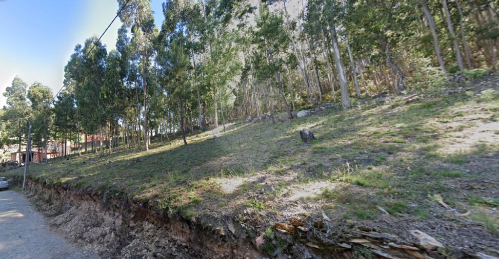 Terreno para Venda em Melres e Medas Foto 2