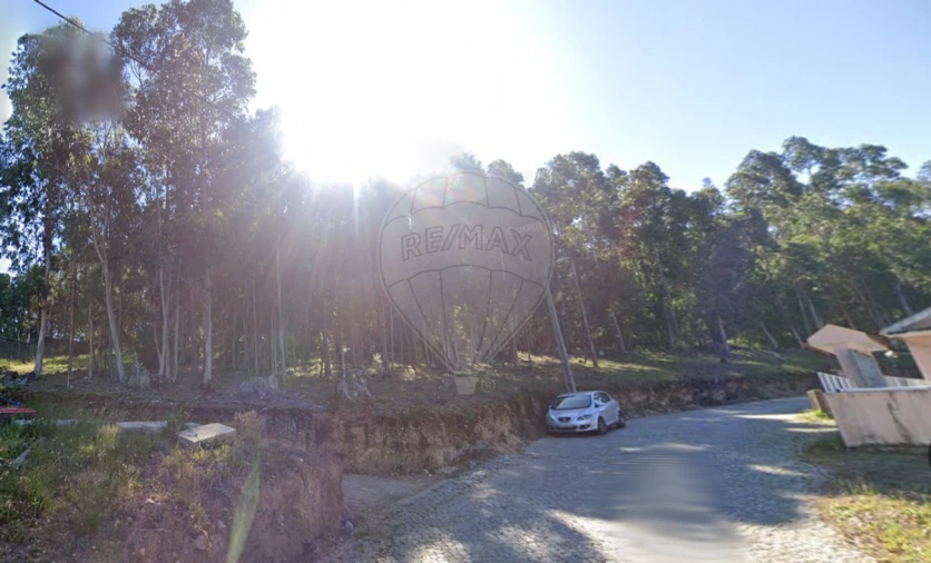 Terreno para Venda em Melres e Medas Foto 5