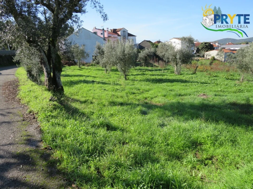 Moradia T2 para Venda em Cernache do Bonjardim, Nesperal e Palhais Foto 19