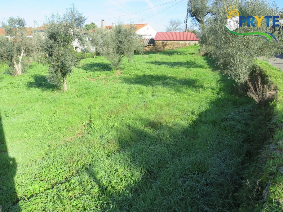 Moradia T2 para Venda em Cernache do Bonjardim, Nesperal e Palhais Foto 20