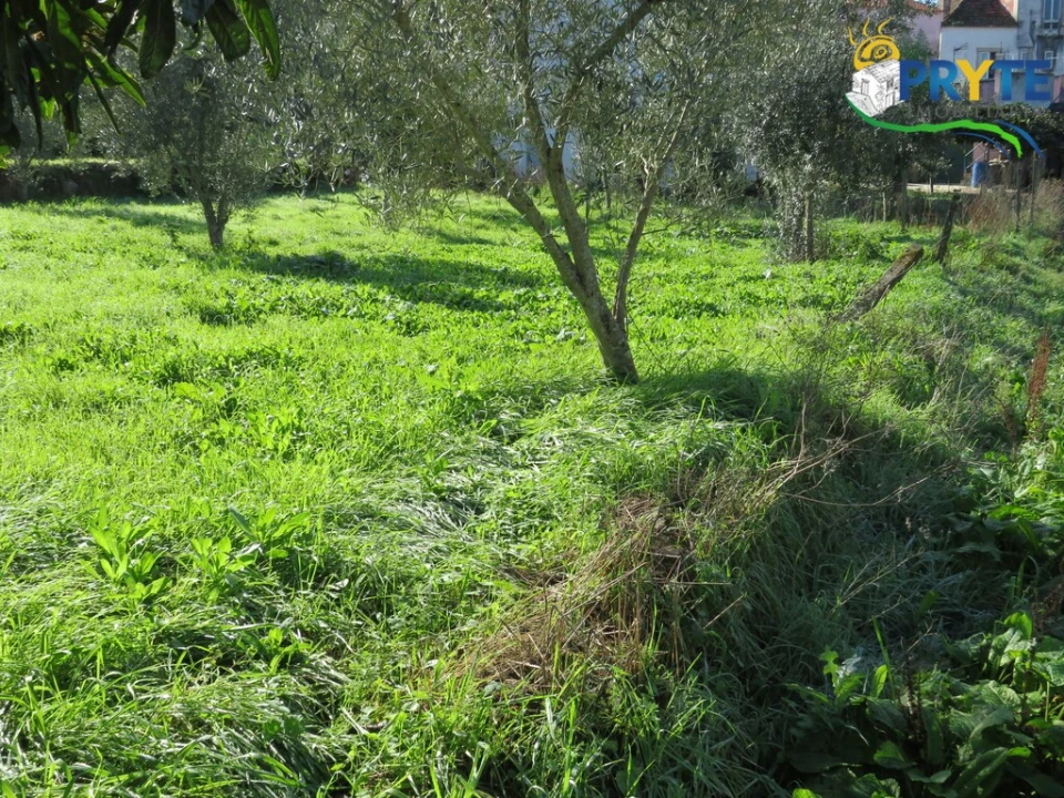 Moradia T2 para Venda em Cernache do Bonjardim, Nesperal e Palhais Foto 21