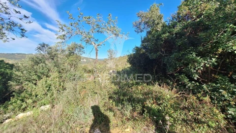 Terreno para Venda em Loule (São Sebastião)