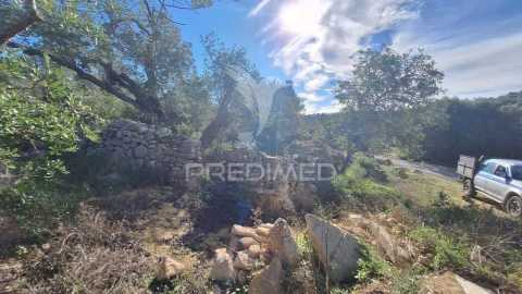 Terreno para Venda em Loule (São Sebastião)