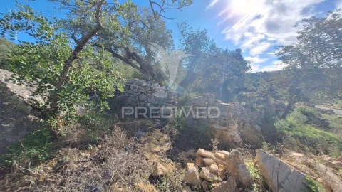 Terreno para Venda em Loule (São Sebastião)