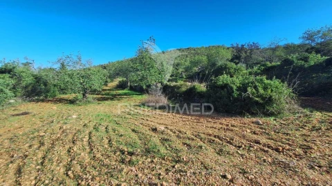 Terreno para Venda em Loule (São Sebastião)
