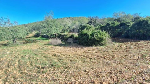 Terreno para Venda em Loule (São Sebastião)