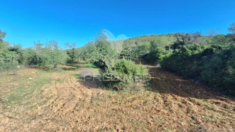 Terreno para Venda em Loule (São Sebastião)