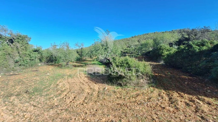 Terreno para Venda em Loule (São Sebastião) Foto 7