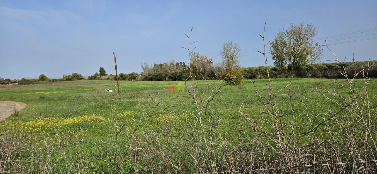 Terreno para Arrendamento em Beja (Salvador e Santa Maria da Feira) Foto 4