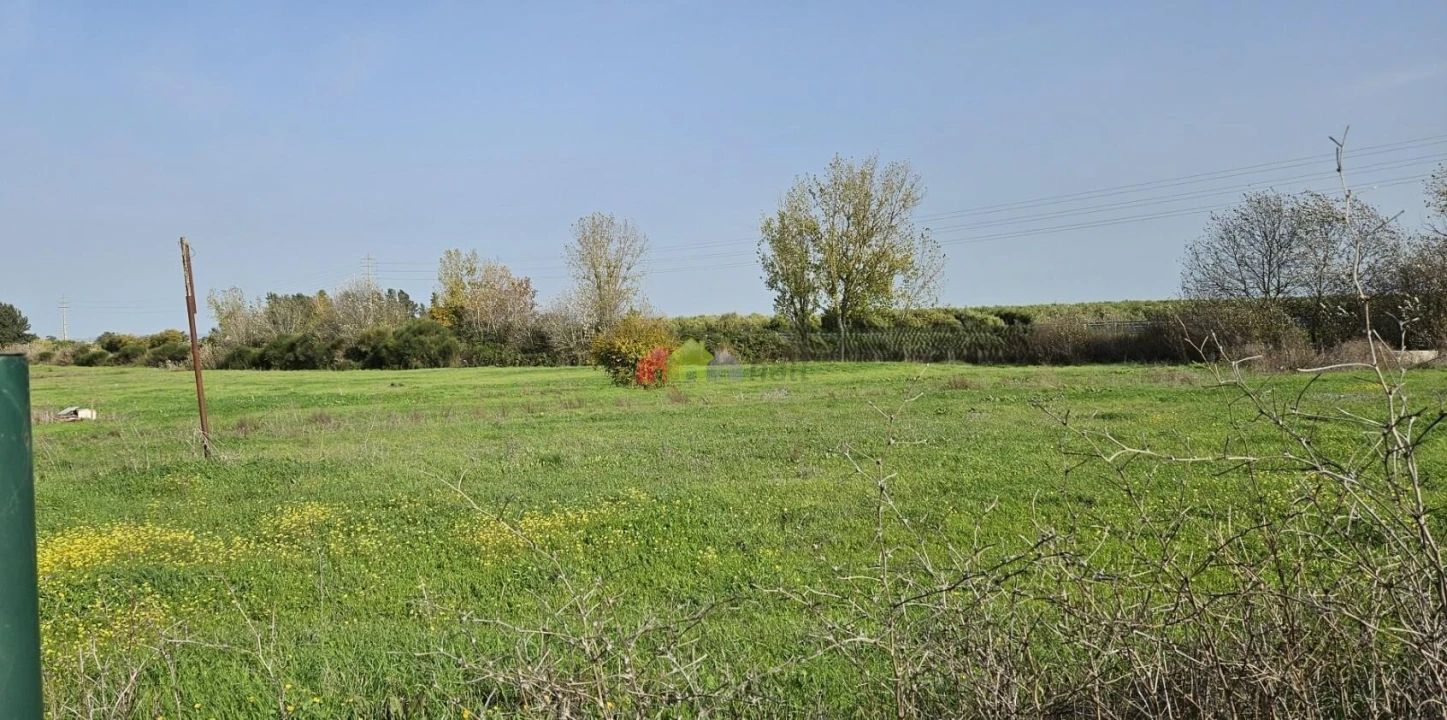 Terreno para Arrendamento em Beja (Salvador e Santa Maria da Feira) Foto 3
