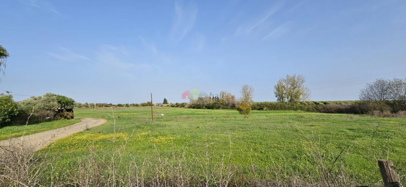 Terreno para Arrendamento em Beja (Salvador e Santa Maria da Feira) Foto 7