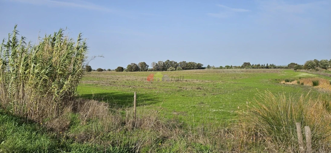 Terreno para Arrendamento em Beja (Salvador e Santa Maria da Feira) Foto 2