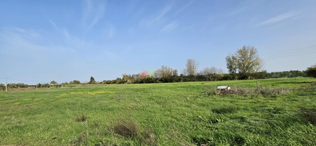 Terreno para Arrendamento em Beja (Salvador e Santa Maria da Feira) Foto 5