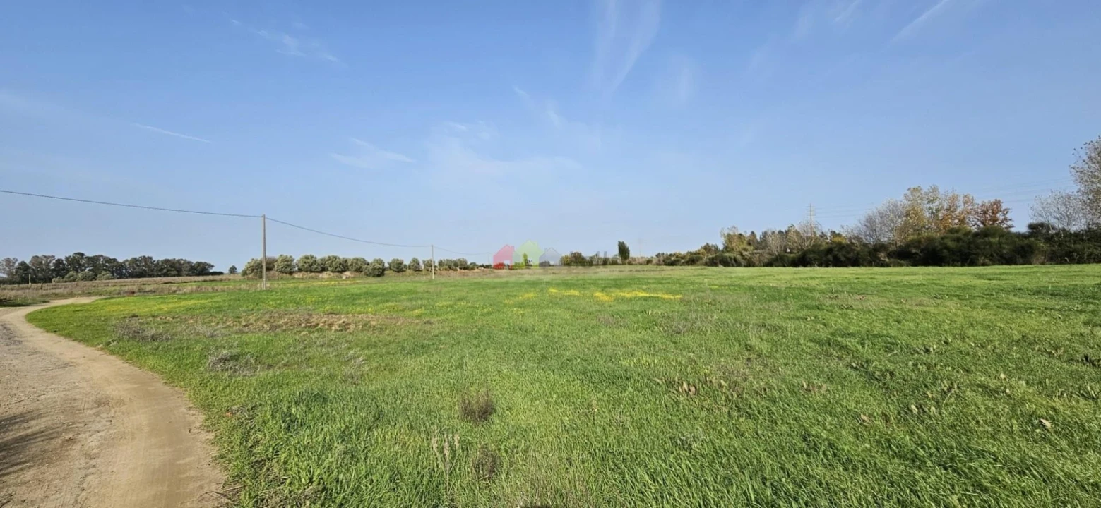 Terreno para Arrendamento em Beja (Salvador e Santa Maria da Feira) Foto 6