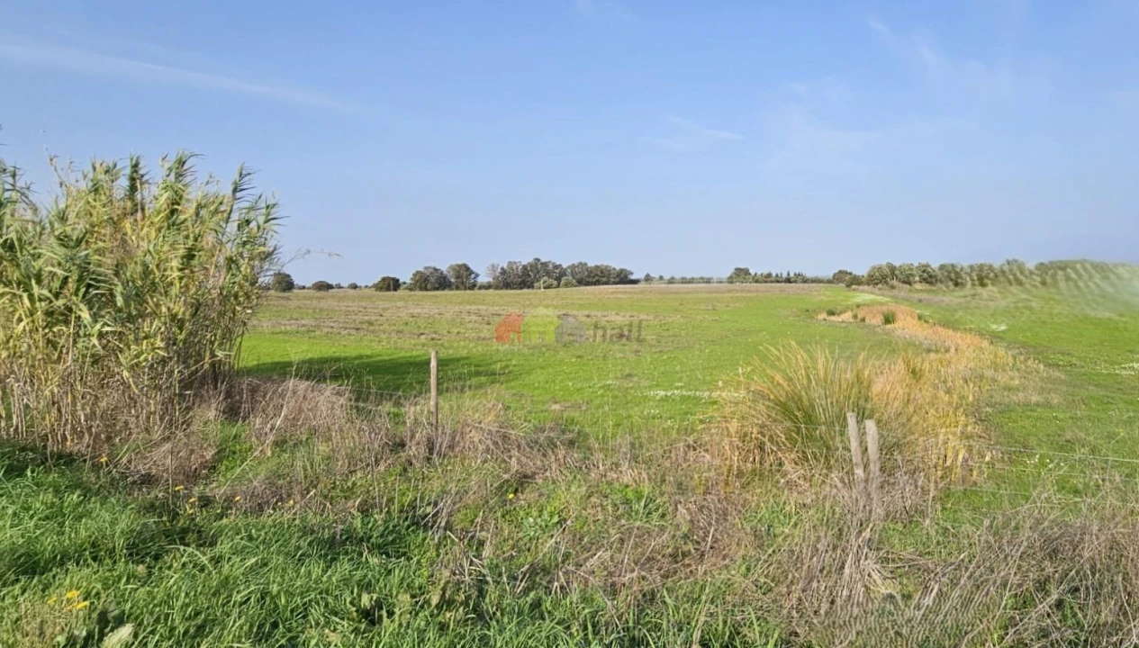 Terreno para Arrendamento em Beja (Salvador e Santa Maria da Feira) Foto 1