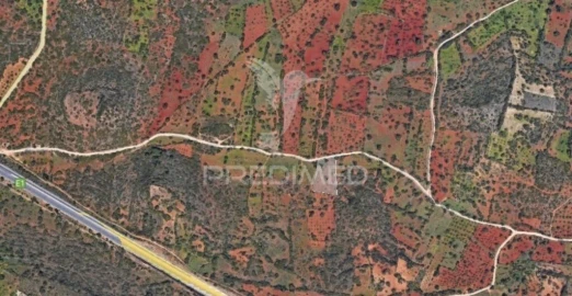 Terreno para Venda em Loule (São Sebastião)