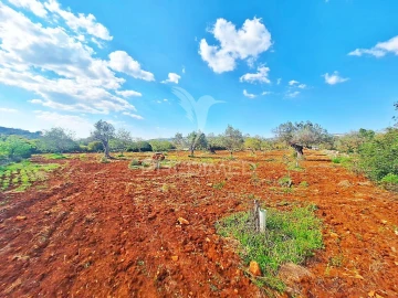 Terreno para Venda em Loule (São Sebastião)