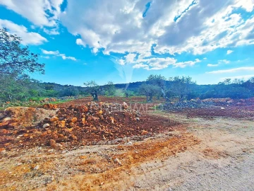 Terreno para Venda em Loule (São Sebastião)
