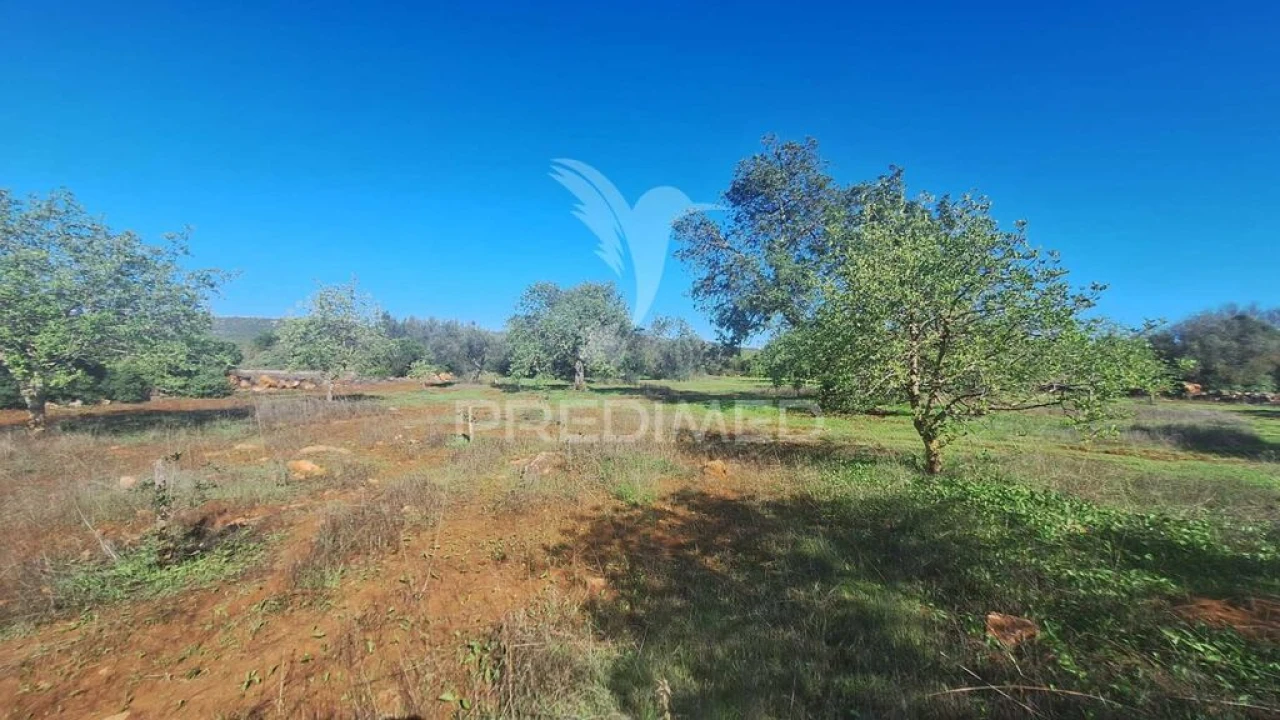 Terreno para Venda em Loule (São Sebastião) Foto 6