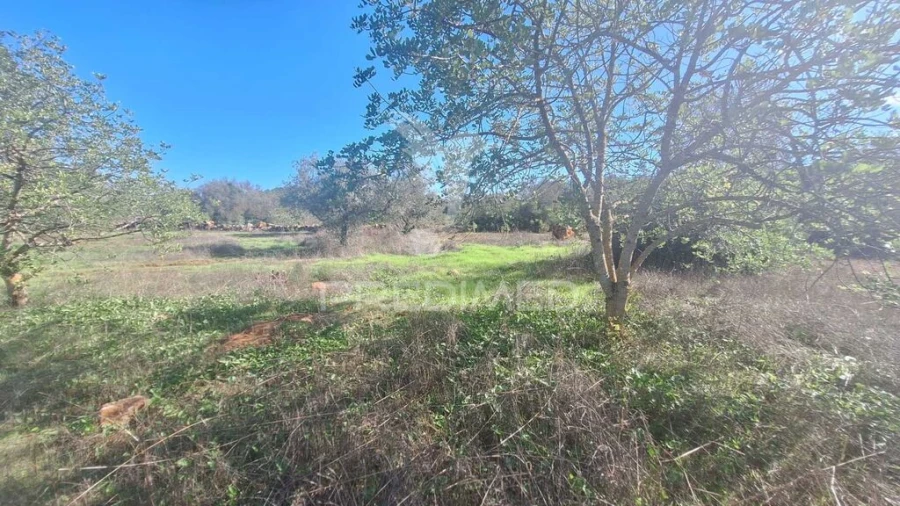 Terreno para Venda em Loule (São Sebastião) Foto 10
