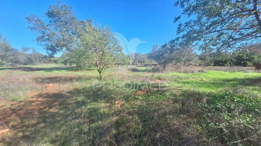 Terreno para Venda em Loule (São Sebastião) Foto 7