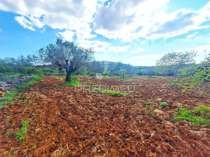 Terreno para Venda em Loule (São Sebastião) Foto 8