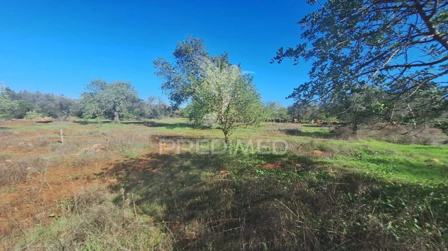 Terreno para Venda em Loule (São Sebastião) Foto 8
