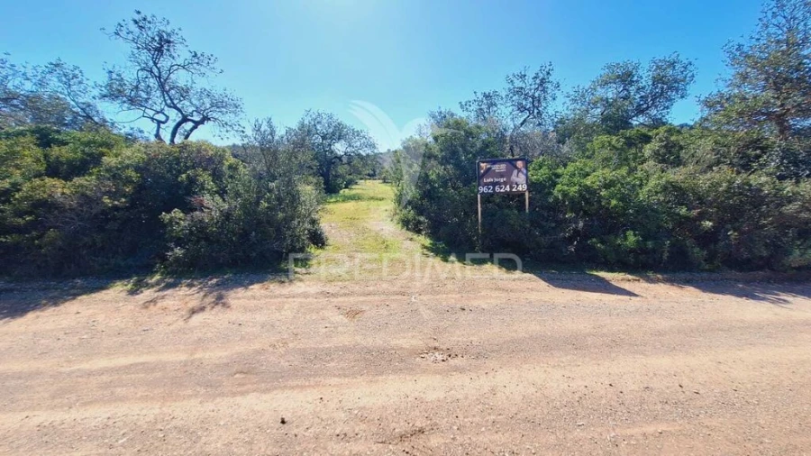 Terreno para Venda em Loule (São Sebastião) Foto 3