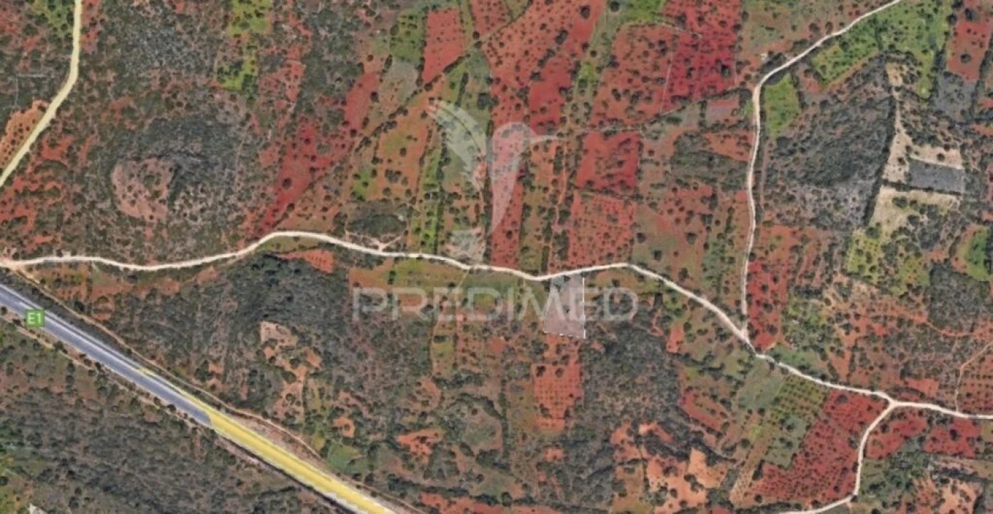 Terreno para Venda em Loule (São Sebastião) Foto 2