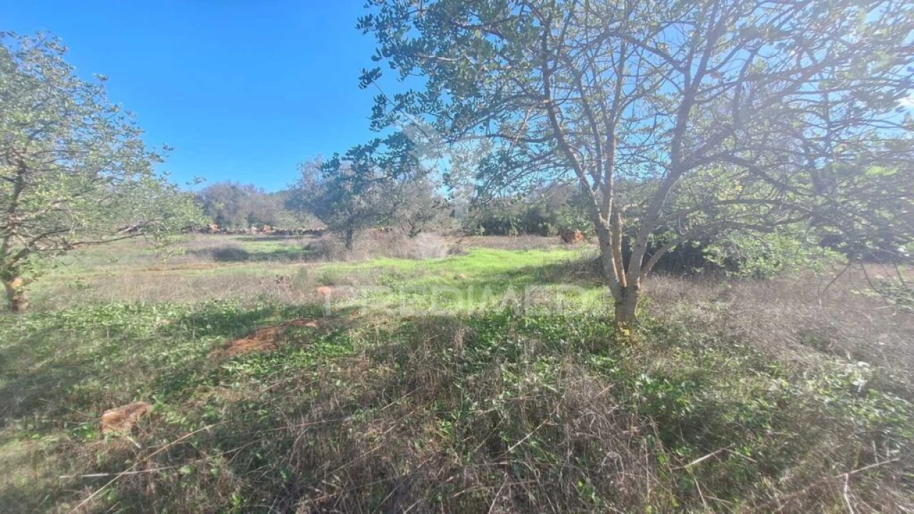 Terreno para Venda em Loule (São Sebastião) Foto 5
