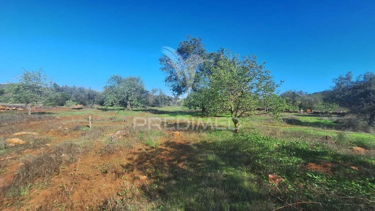 Terreno para Venda em Loule (São Sebastião) Foto 1