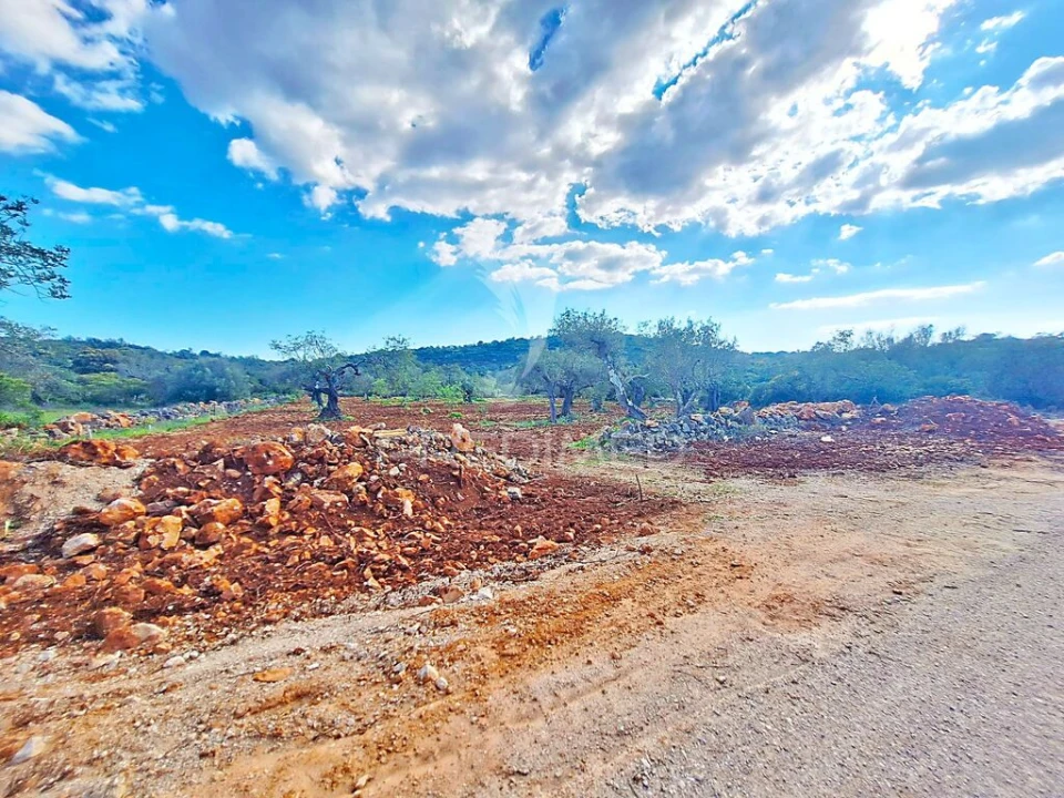 Terreno para Venda em Loule (São Sebastião) Foto 5