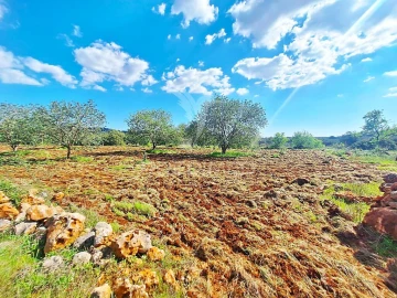 Terreno para Venda em Loule (São Sebastião)