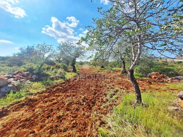 Terreno para Venda em Loule (São Sebastião)