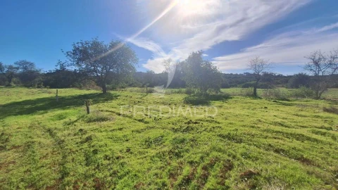 Terreno para Venda em Loule (São Sebastião)
