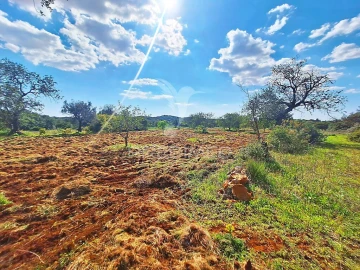 Terreno para Venda em Loule (São Sebastião)