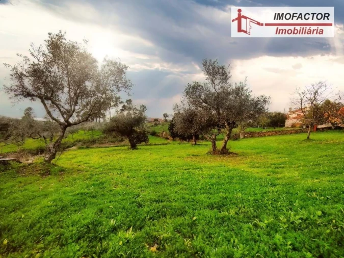 Terreno para Venda em Santo Andre das Tojeiras Foto 5