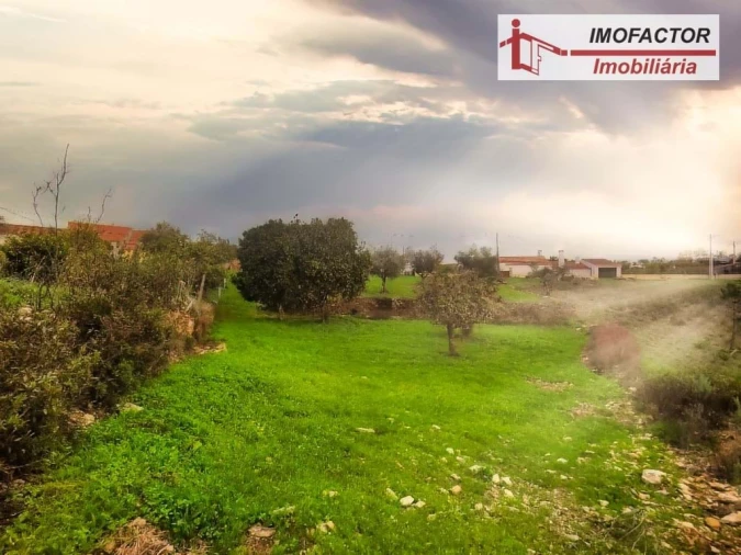 Terreno para Venda em Santo Andre das Tojeiras Foto 9