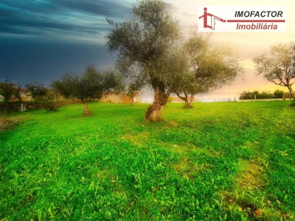 Terreno para Venda em Santo Andre das Tojeiras Foto 4