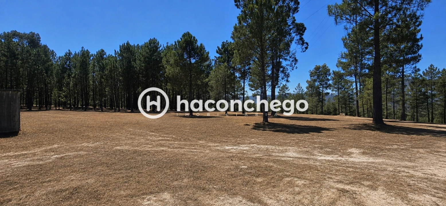Terreno para Venda em Ucha Foto 7
