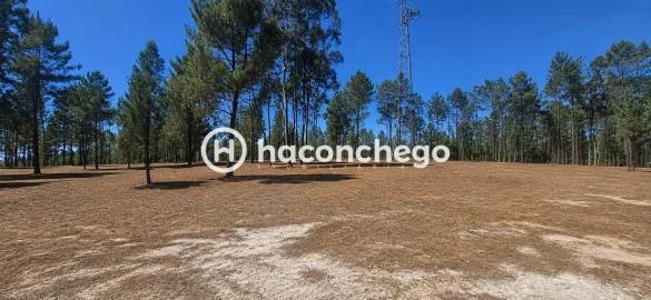 Terreno para Venda em Ucha
