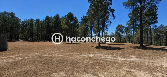 Terreno para Venda em Ucha