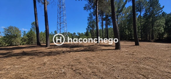 Terreno para Venda em Ucha