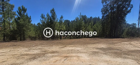 Terreno para Venda em Ucha