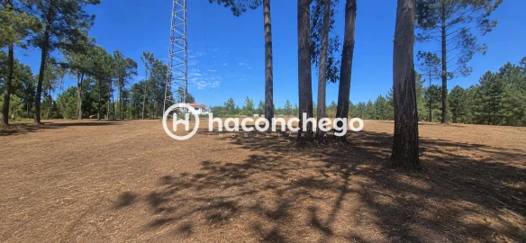 Terreno para Venda em Ucha