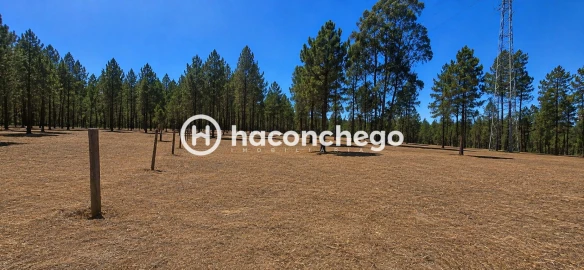 Terreno para Venda em Ucha