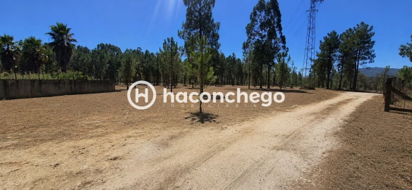 Terreno para Venda em Ucha