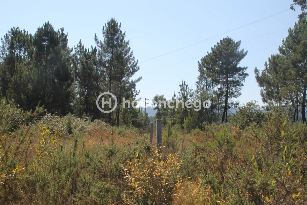Terreno para Venda em Ucha Foto 7