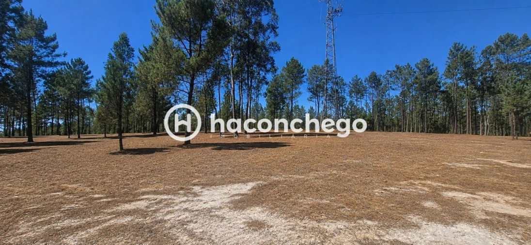Terreno para Venda em Ucha Foto 4