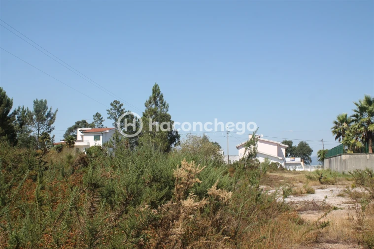 Terreno para Venda em Ucha Foto 2